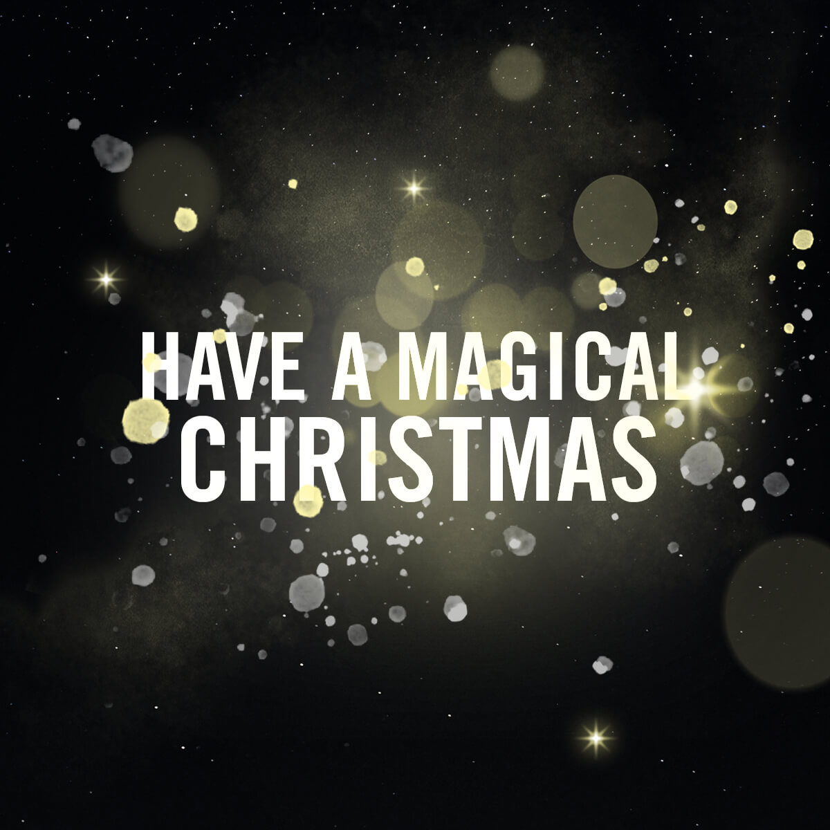 Have a magical Christmas